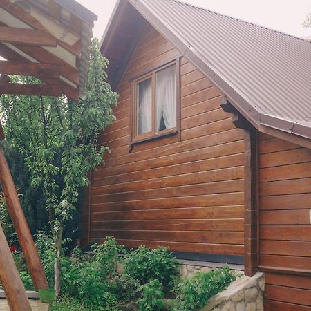 Будиночок В Карпатах Yaremche Ngoại thất bức ảnh