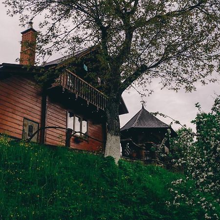 Будиночок В Карпатах Yaremche Ngoại thất bức ảnh
